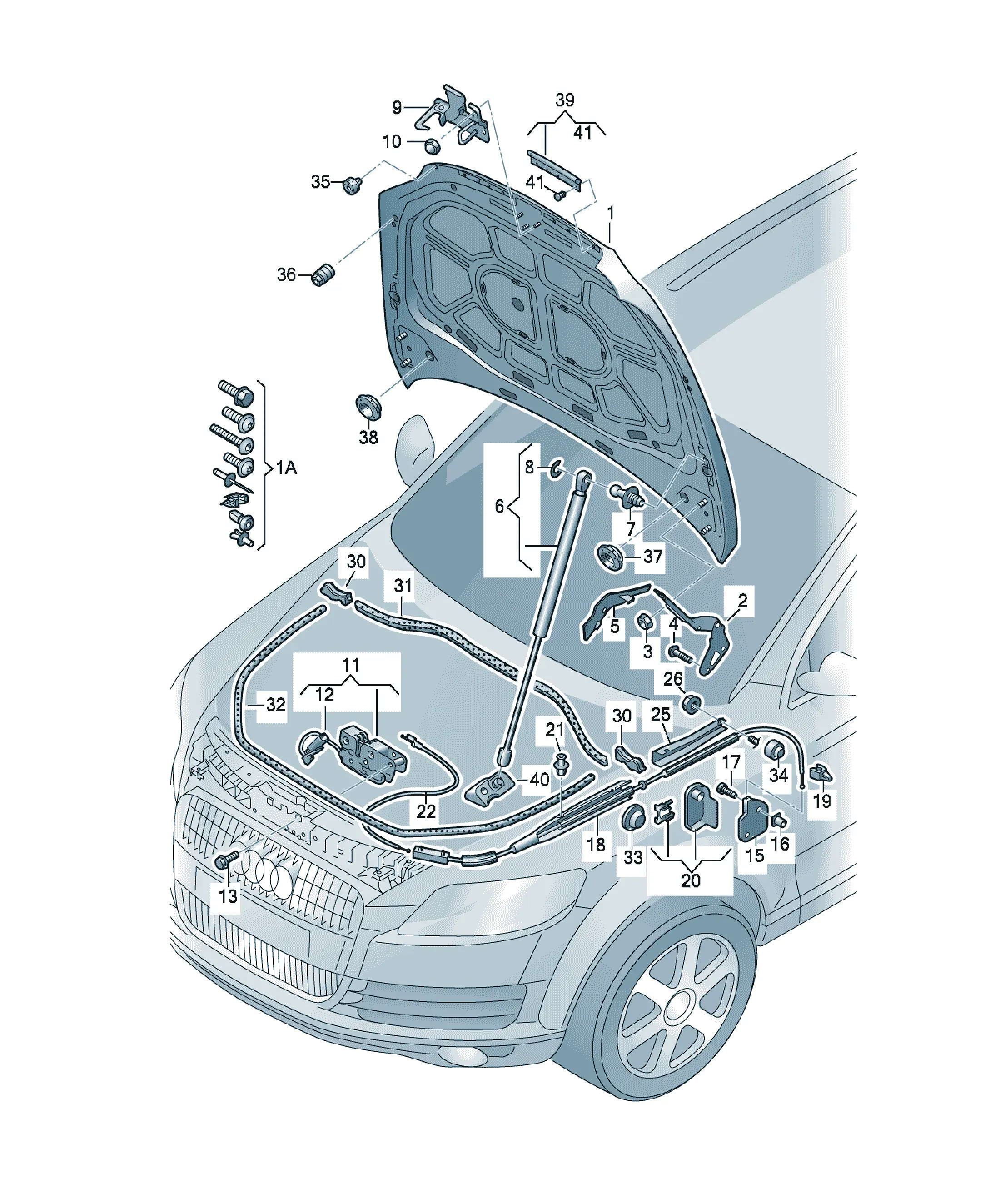 Hood diagram