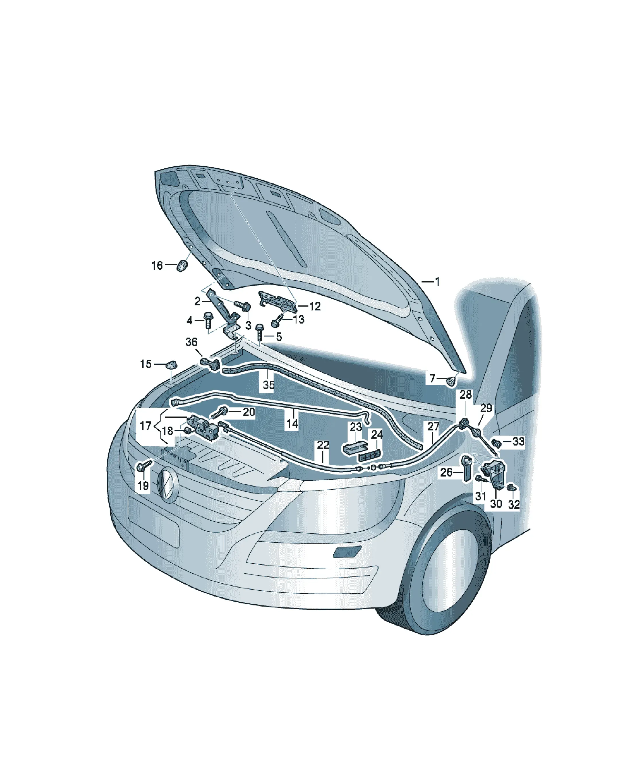Hood diagram