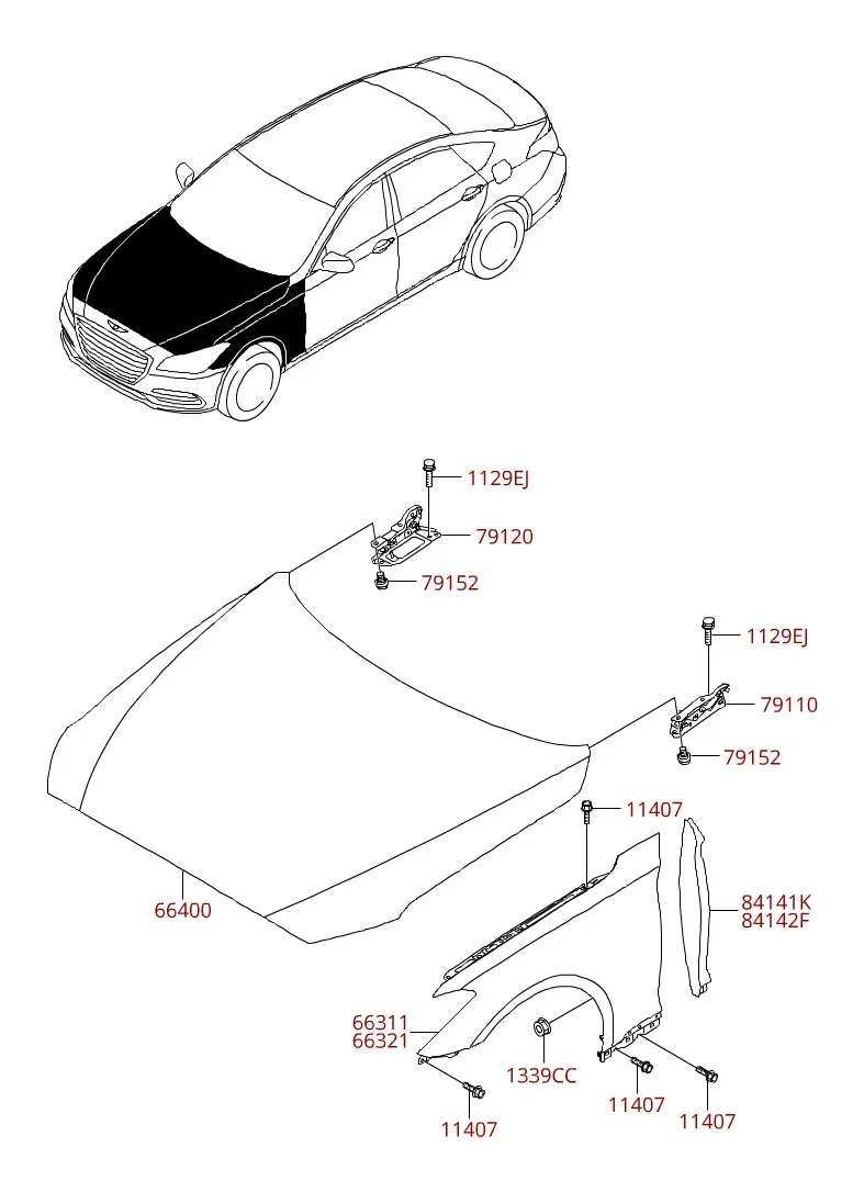 Hood and fender diagram