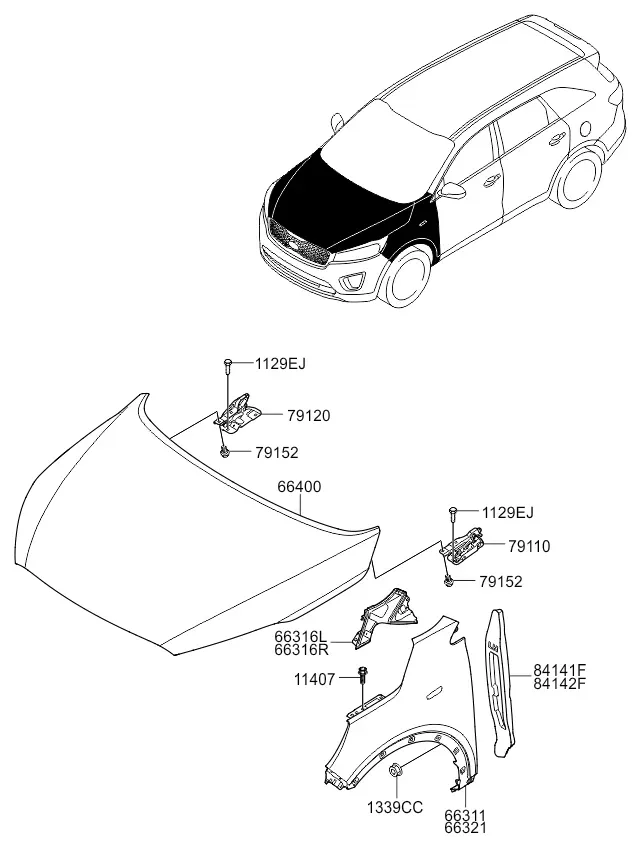 Hood and fender diagram