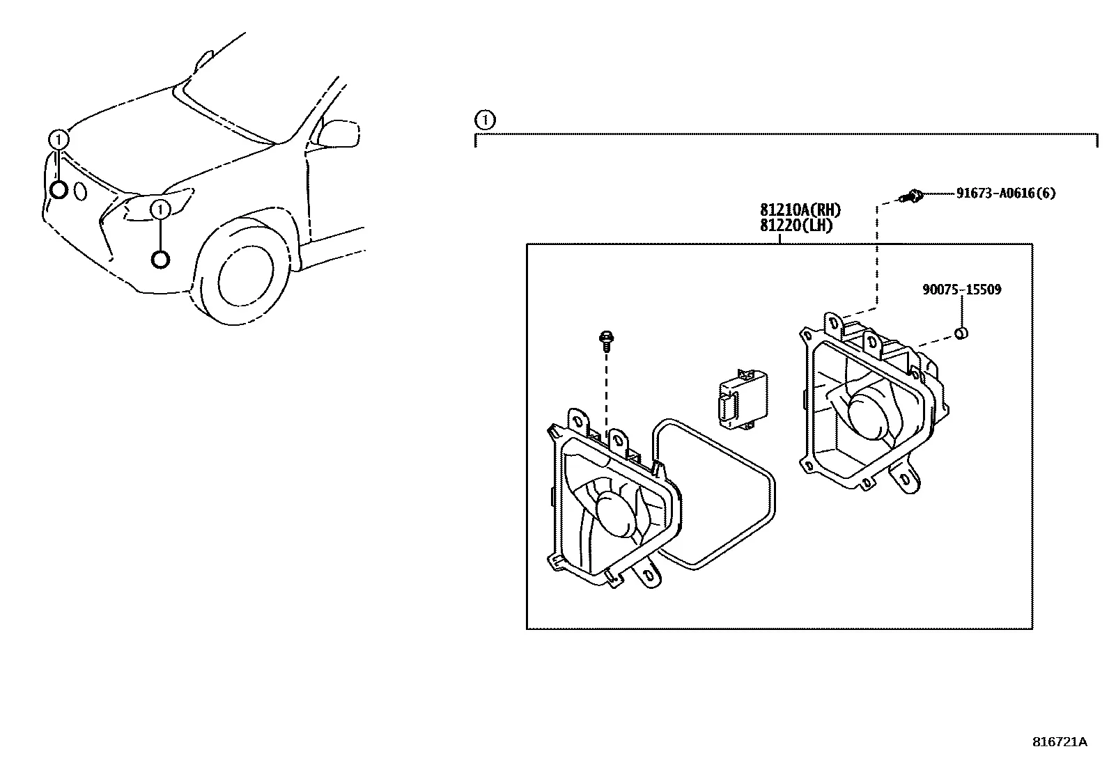 Fog lamp diagram