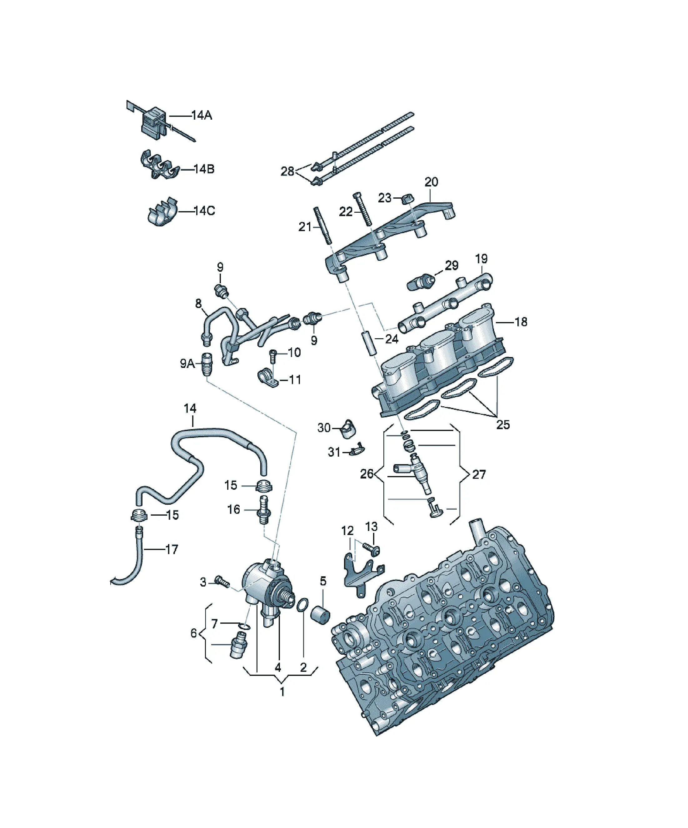 Fuel rail diagram