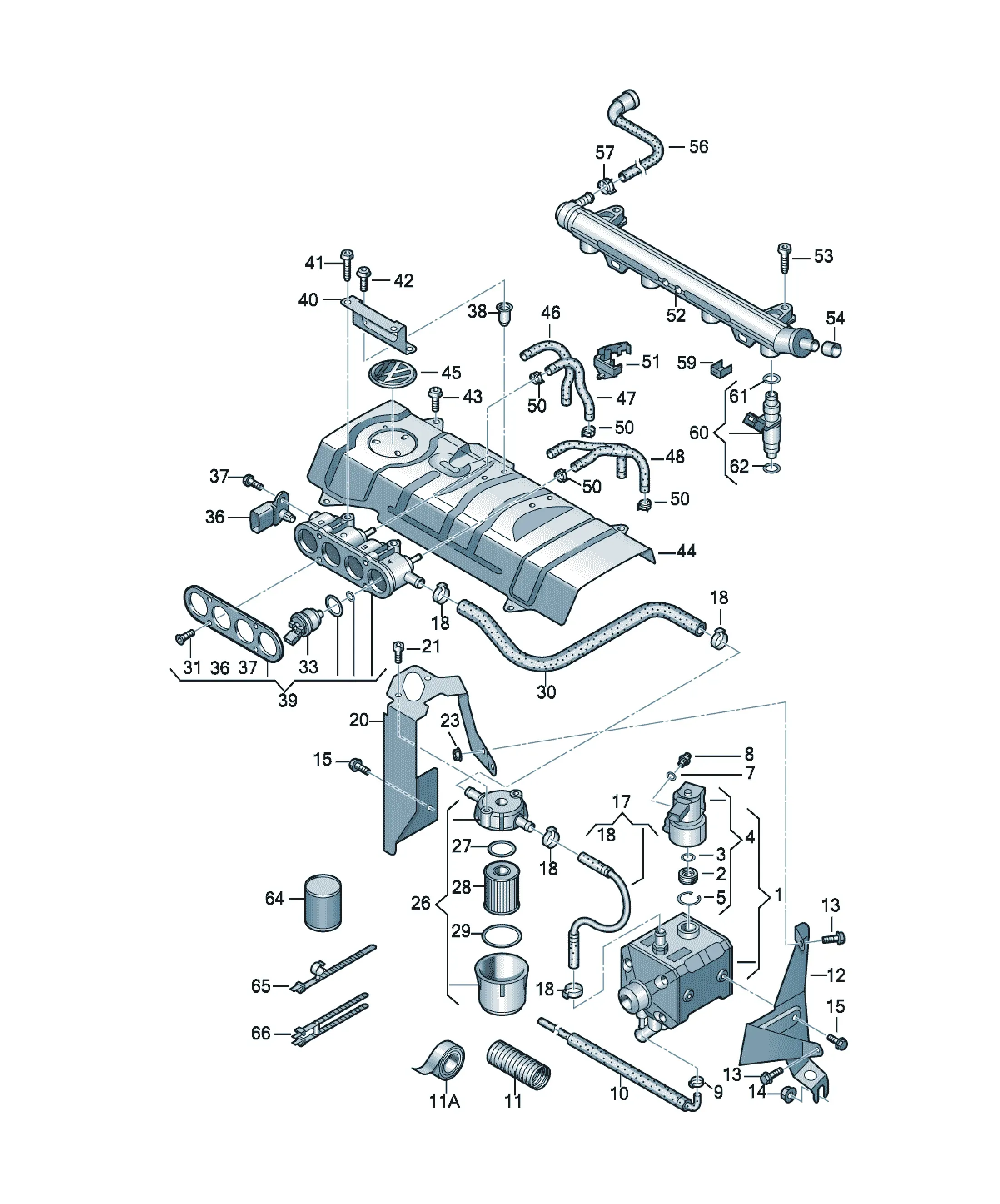 Fuel rail diagram