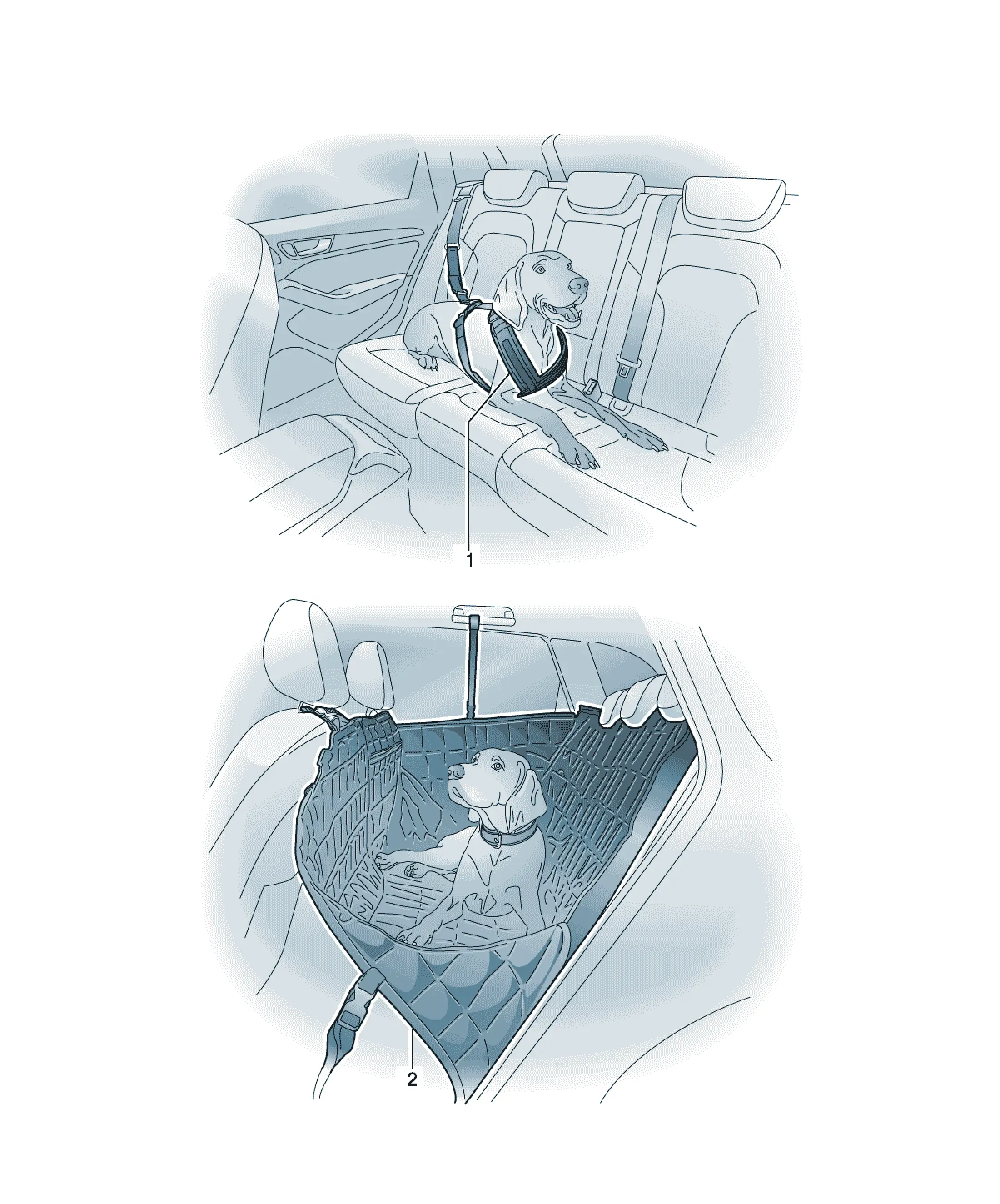 Interior protective accessories diagram