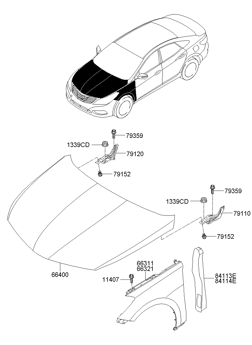 Fenders and Hood diagram