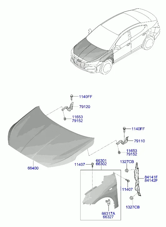Fenders and Hood diagram