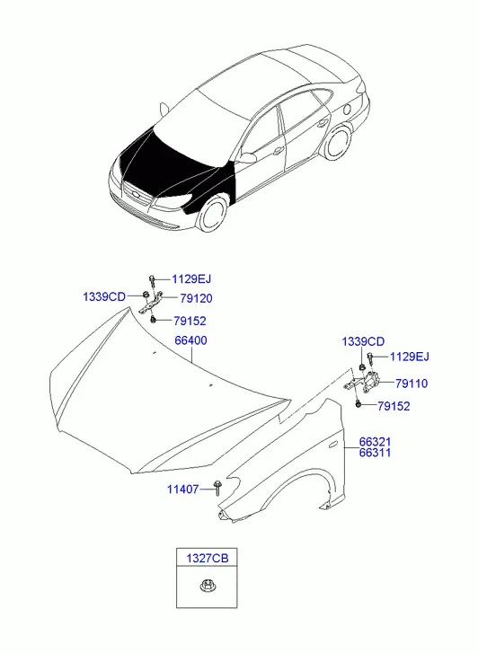Fenders and Hood diagram