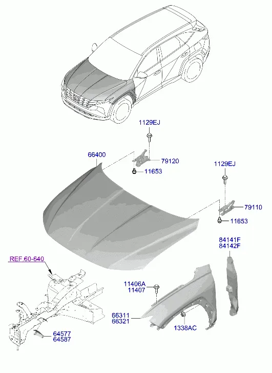 Fenders and Hood diagram