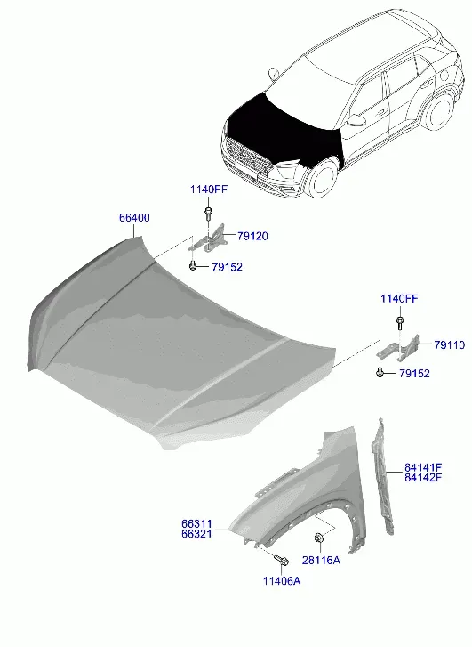 Fenders and Hood diagram