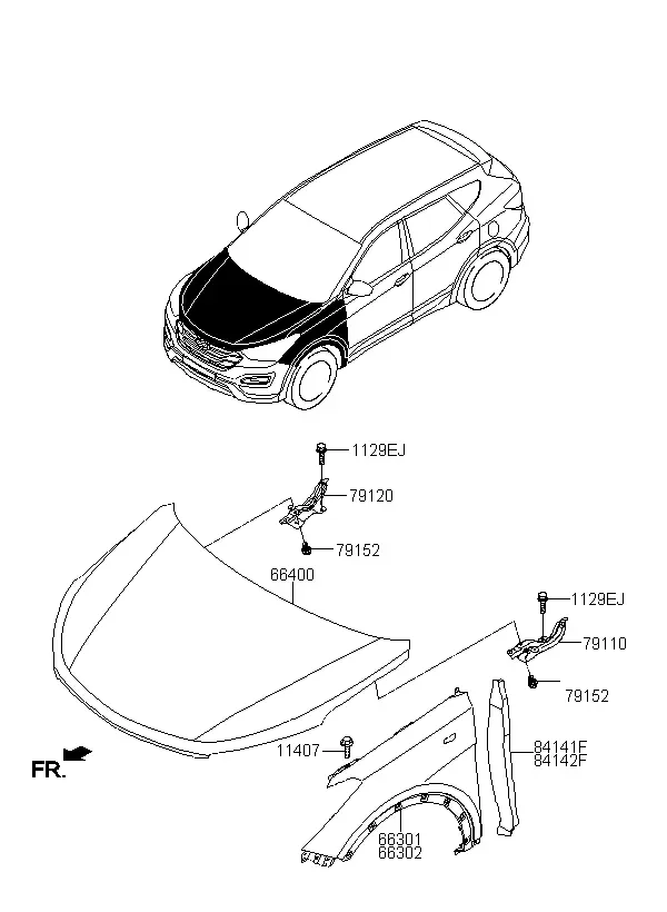 Fenders and Hood diagram