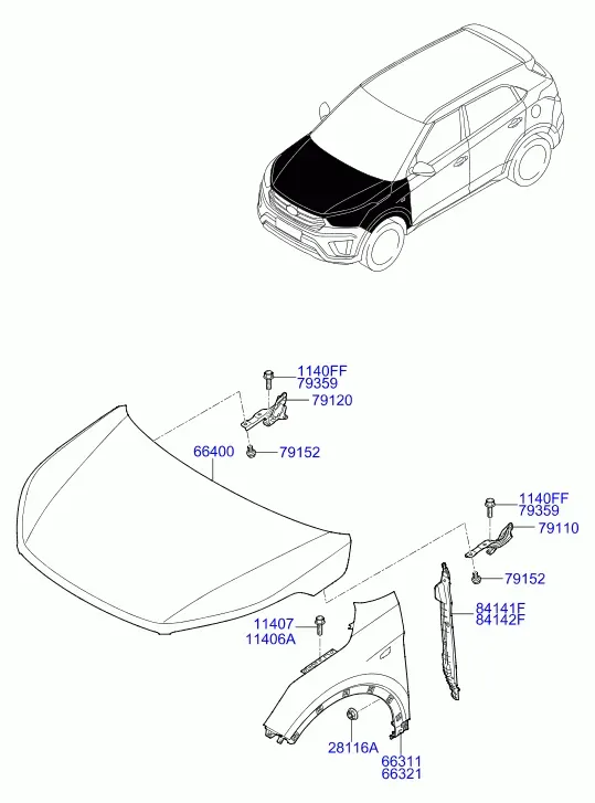 Fenders and Hood diagram
