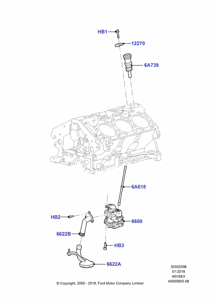 Oil Pump and Drive Assembly diagram