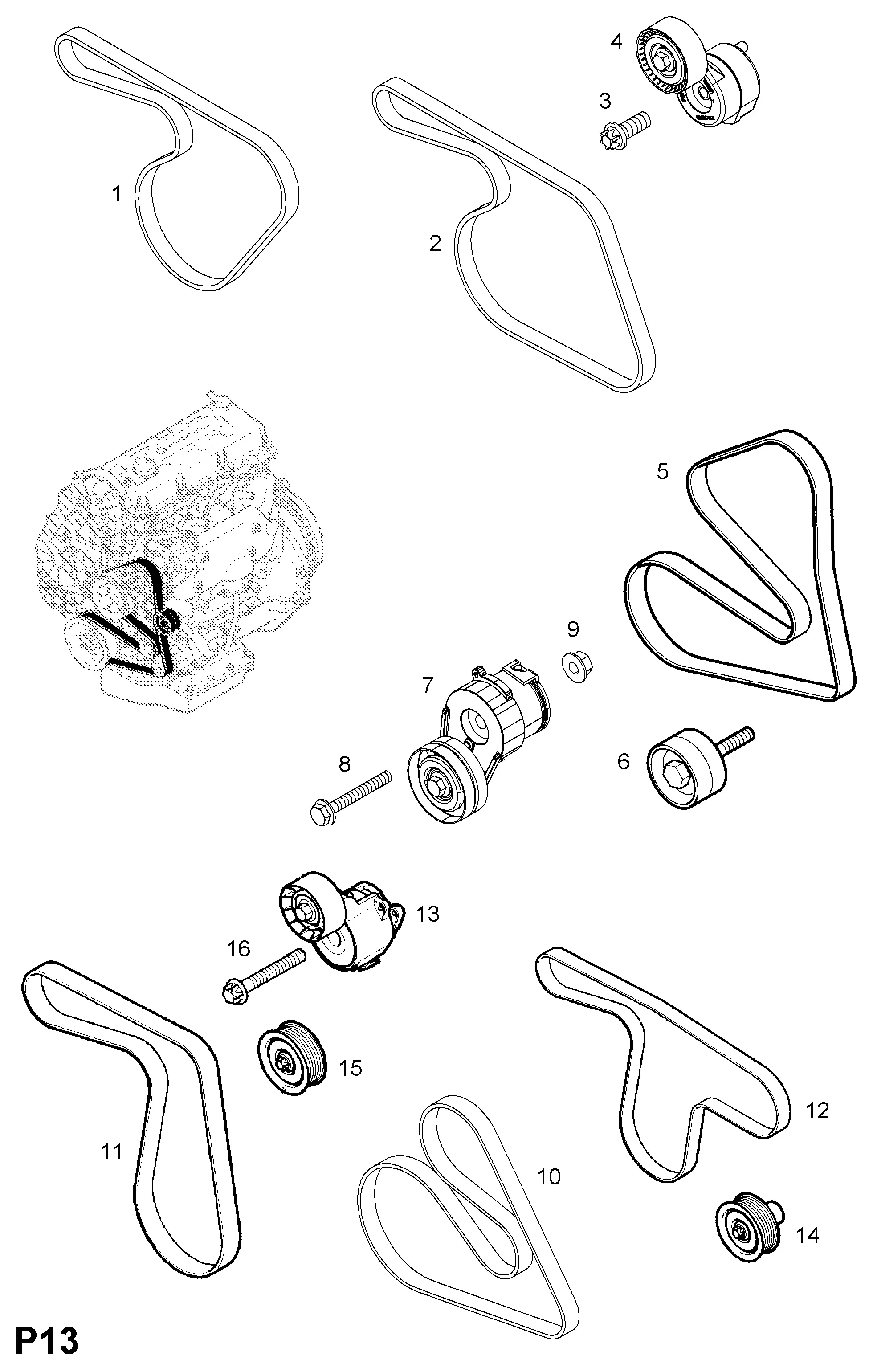 Drive Belt diagram