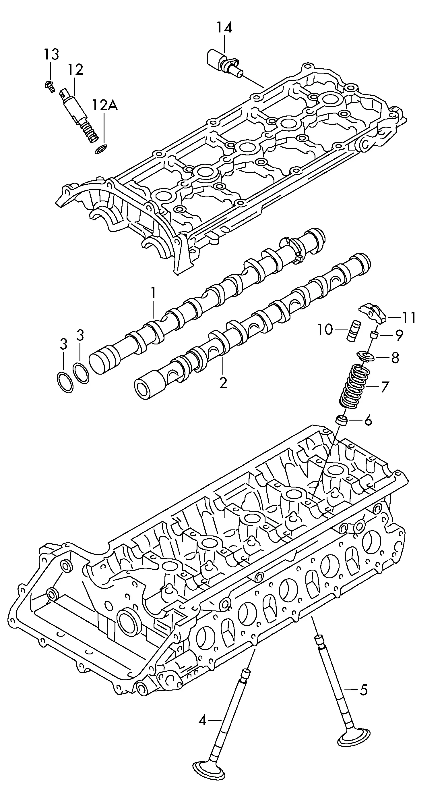 Camshaft and Valves diagram