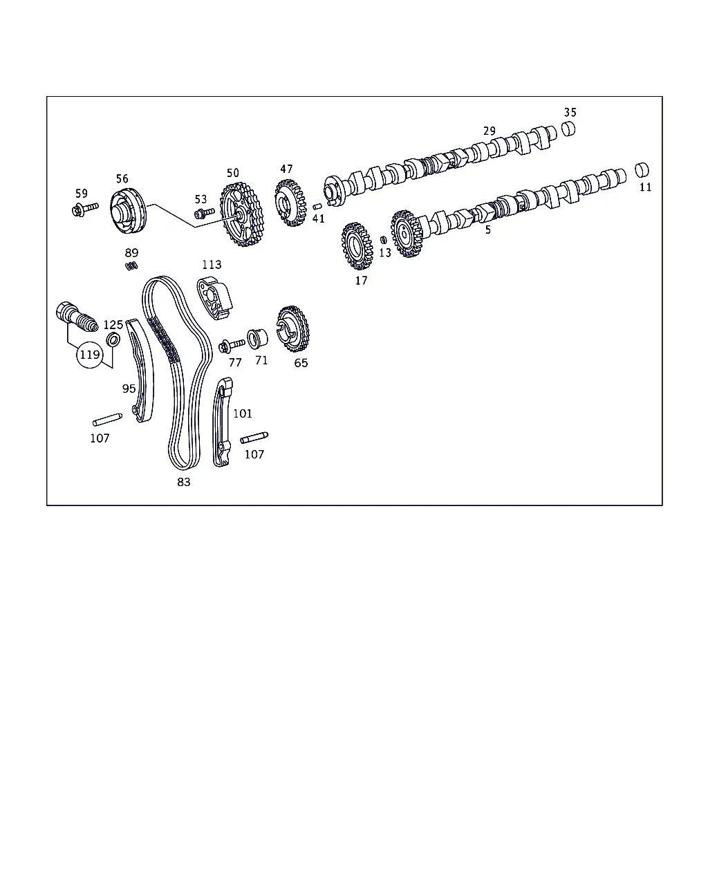 Camshaft and Timing Chain diagram