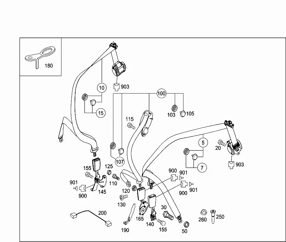 Rear seat safety belt diagram