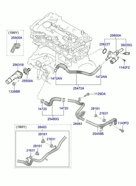 Coolant Hoses and Pipes diagram