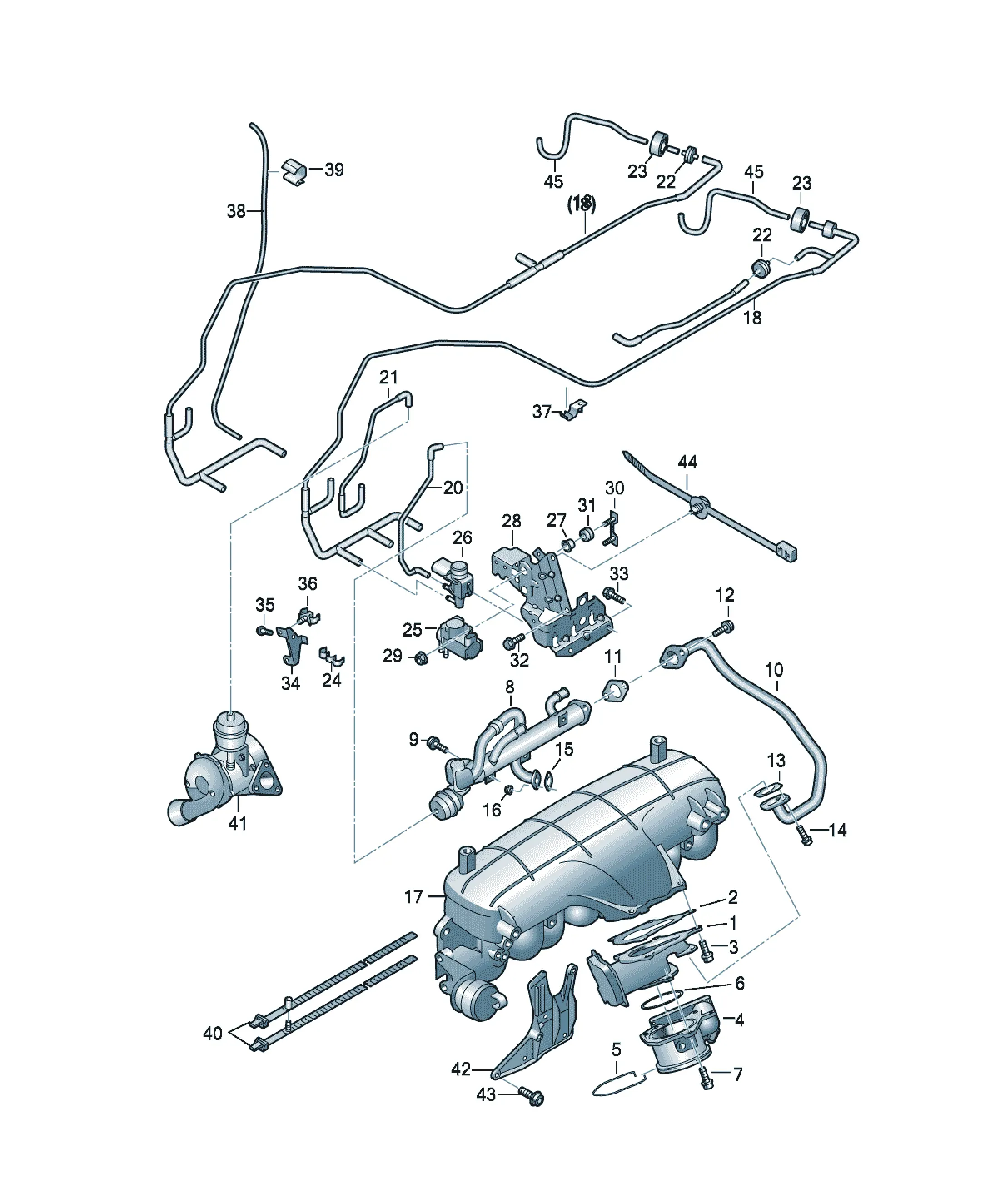 Vacuum and EGR system diagram