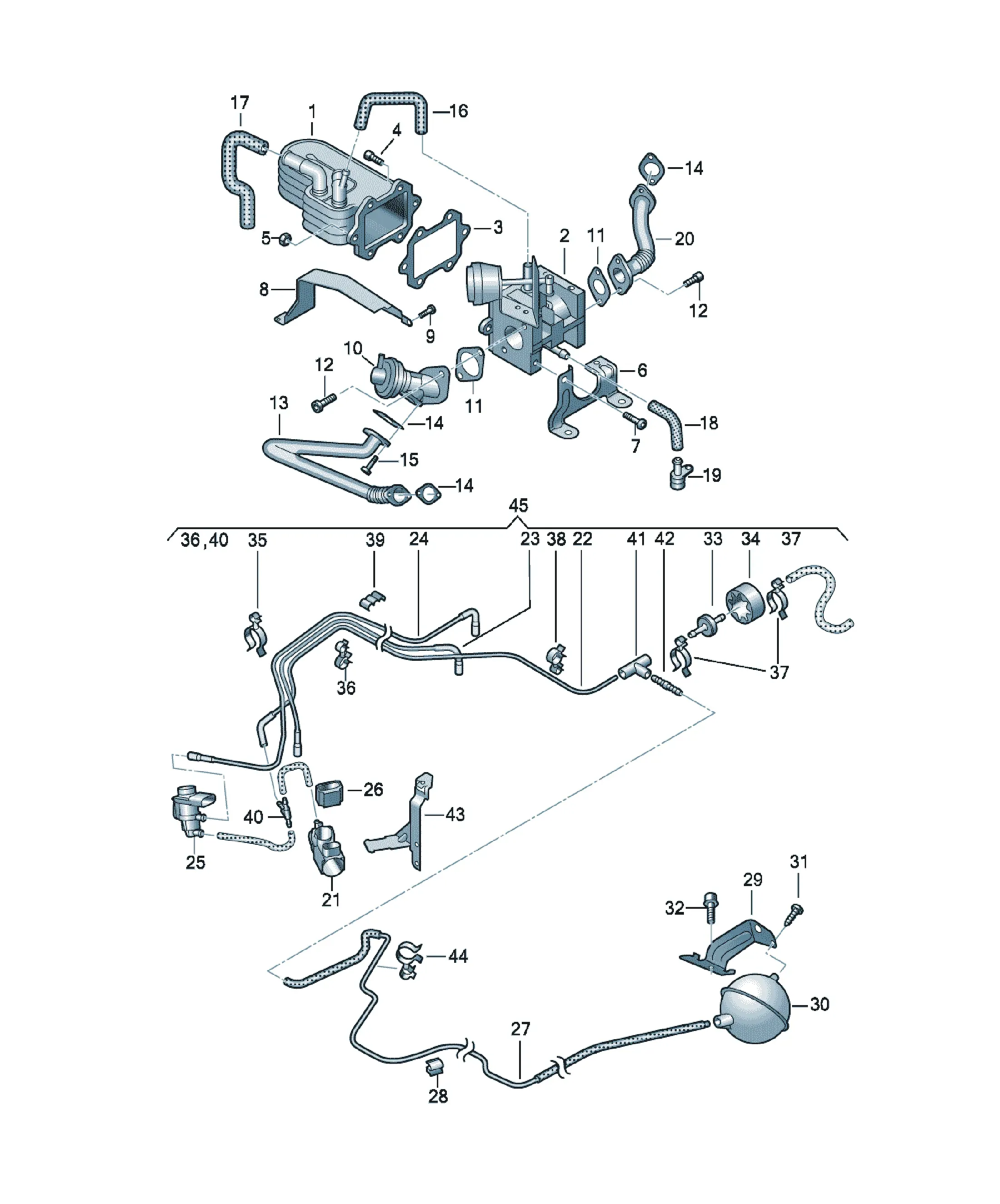 Vacuum and EGR system diagram