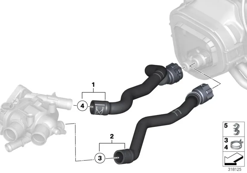 Cooling system hoses diagram