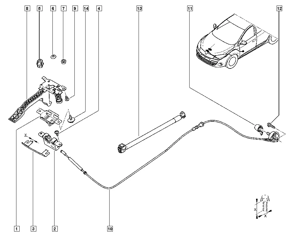Hood and Trunk Locks diagram