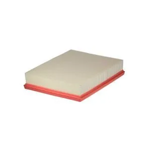 Air Filter Filtron AP034/8