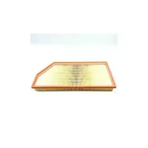 Air Filter Filtron AP035/9
