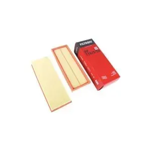Air Filter Filtron AP118/3-2X