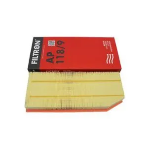 Air Filter Filtron AP118/9
