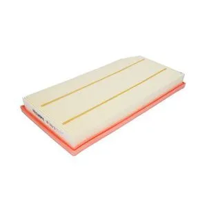 Air Filter Filtron AP119/3