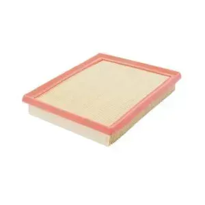 Air Filter Filtron AP170/3