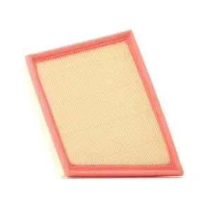Air filter Filtron AP193/8 (left)