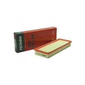 Air Filter Filtron AP196/2