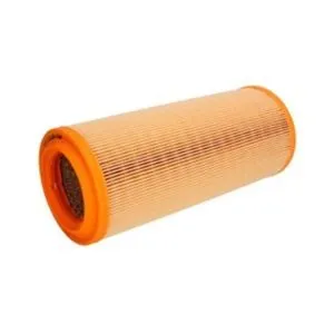 Air Filter Filtron AR234/2